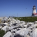 lighthouse_island_seal_machias_h_3037_can1686.jpg